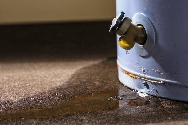 Best Professional water damage repair  in Manawa, WI