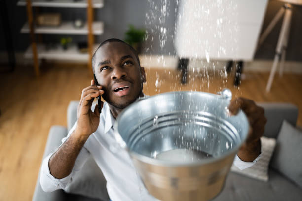 Best Water damage contractors near me  in Manawa, WI