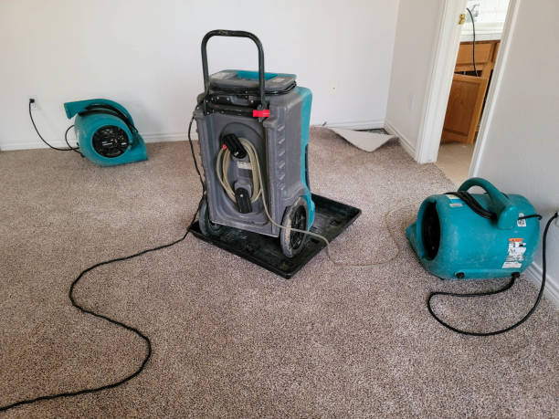 Best Commercial water damage restoration  in Manawa, WI