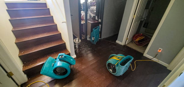 Best 24/7 water damage repair  in Manawa, WI