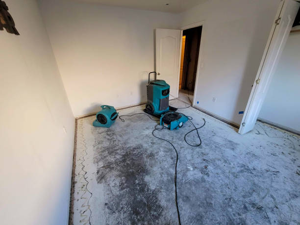  Manawa, WI Water damage restoration Pros