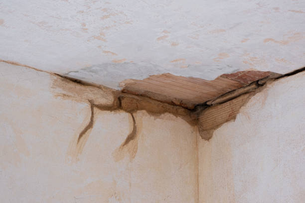 Best Emergency water damage restoration  in Manawa, WI
