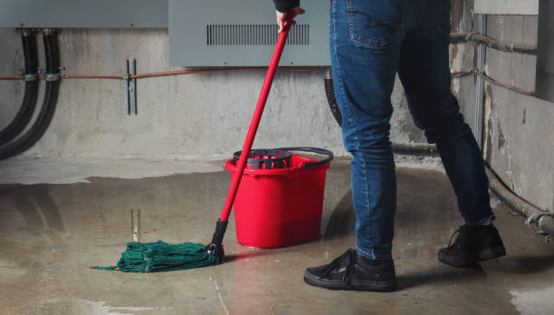 Best Water damage restoration near me  in Manawa, WI