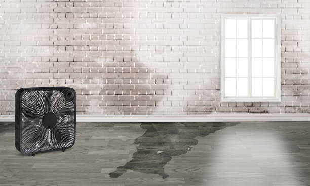 Best Fire Damage Restoration  in Manawa, WI