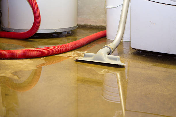 Best 24-hour water damage restoration  in Manawa, WI