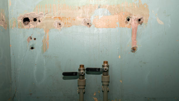 Best Water damage restoration services  in Manawa, WI