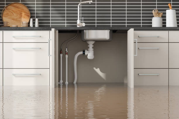 Best Carpet water damage restoration  in Manawa, WI