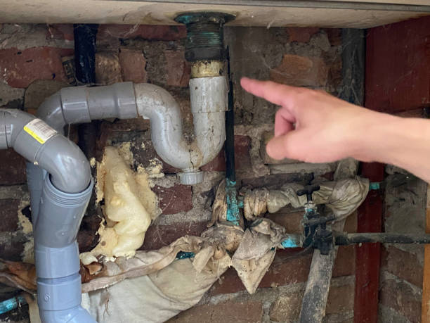 Best Fire Damage Restoration  in Manawa, WI