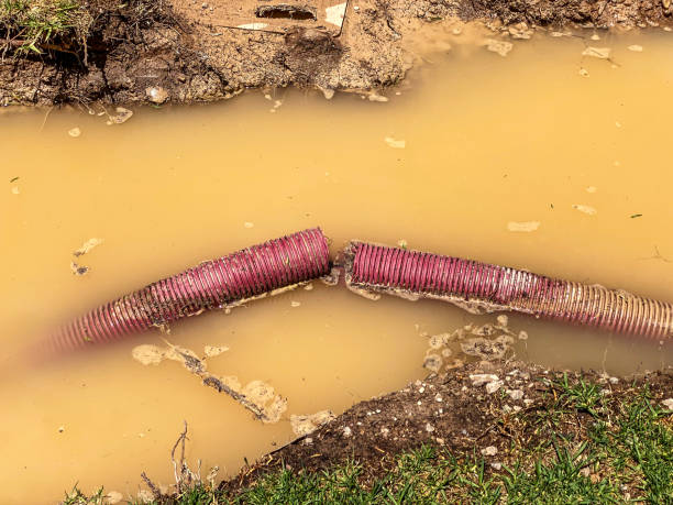 Best Carpet water damage restoration  in Manawa, WI