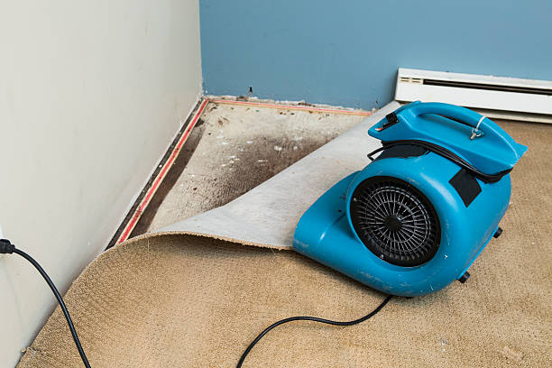 Best Flood restoration services  in Manawa, WI